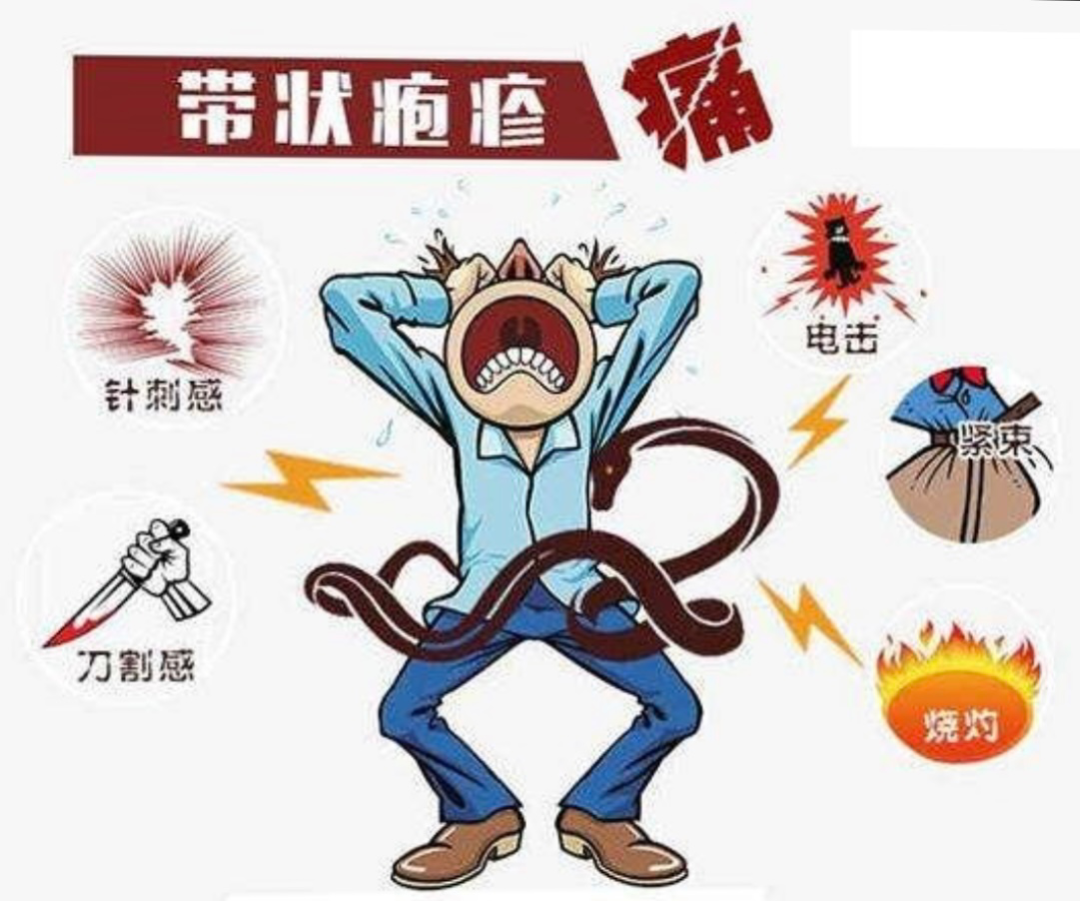 【健康科普】當(dāng)心“蛇纏腰”——帶狀皰疹
