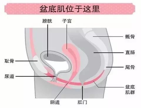 【科普知識】為什么要做產(chǎn)后康復？最全的答案在這里
